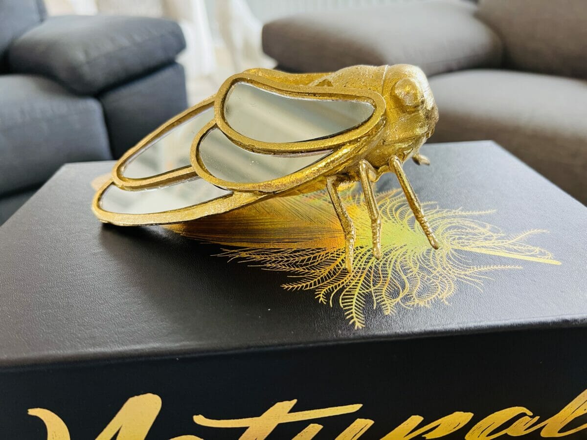 Cicada Bug Ornament