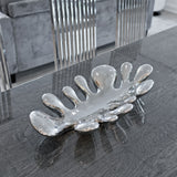 Splash Dish