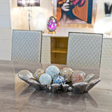 Splash Dish