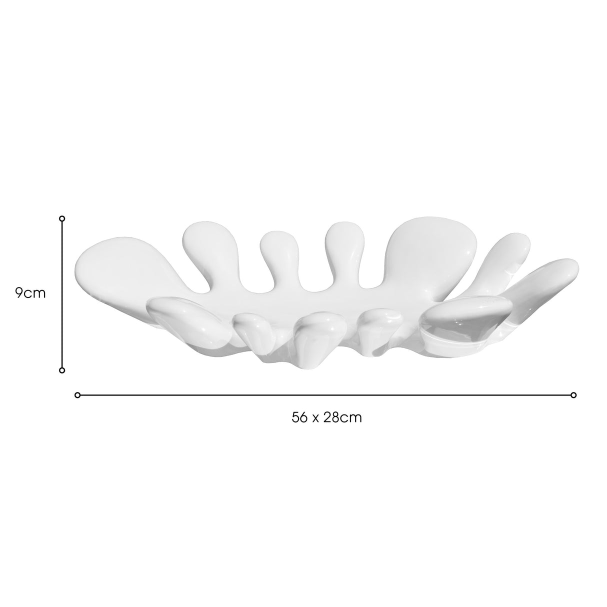White Splash Dish