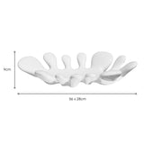 White Splash Dish