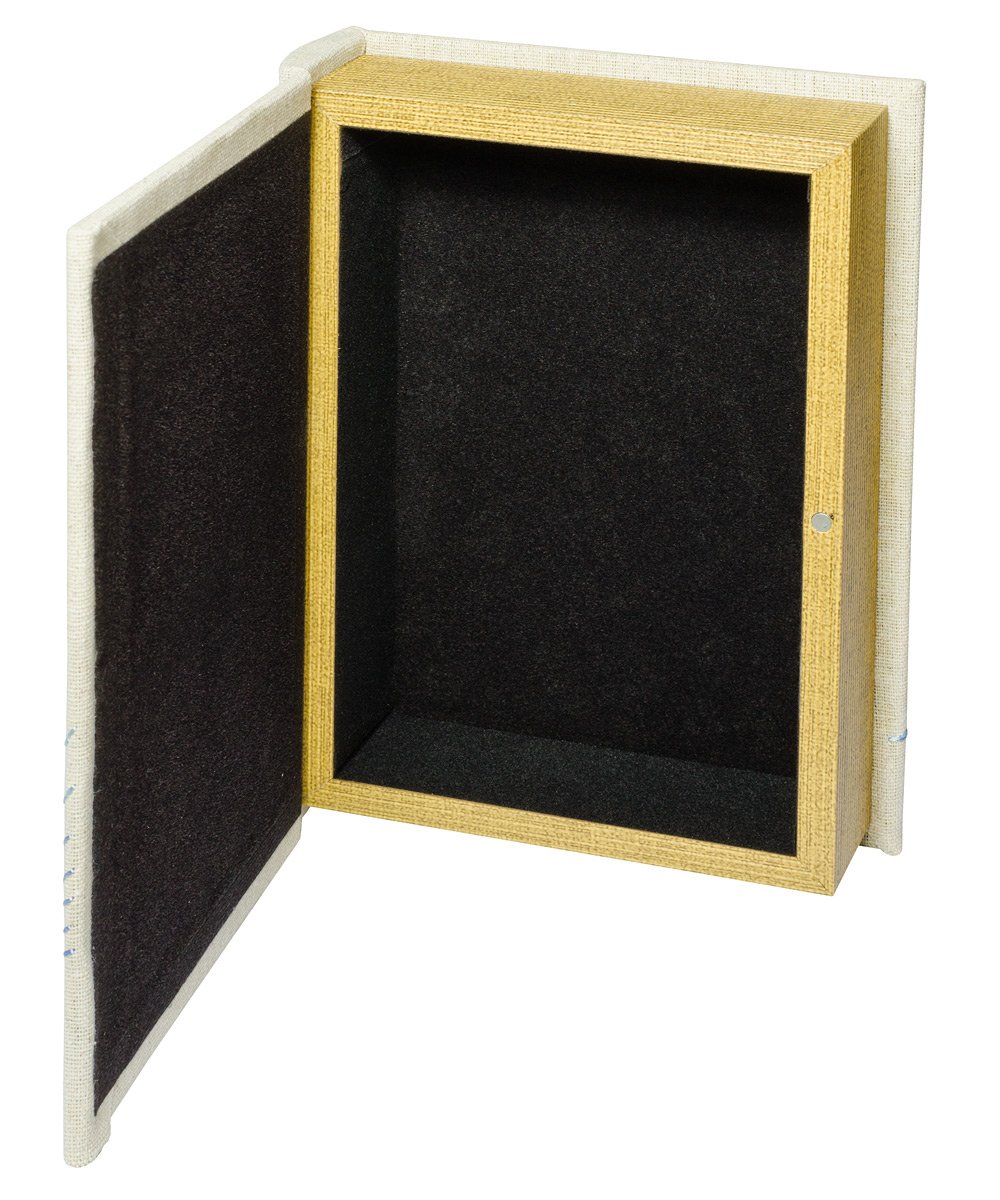 Longboard Book Box