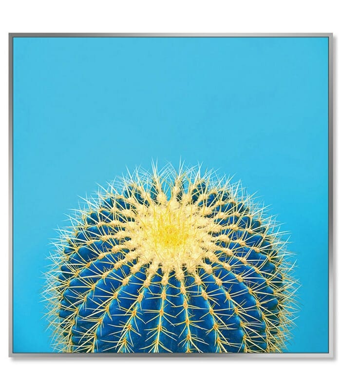 Colourful Cactus Wall Art