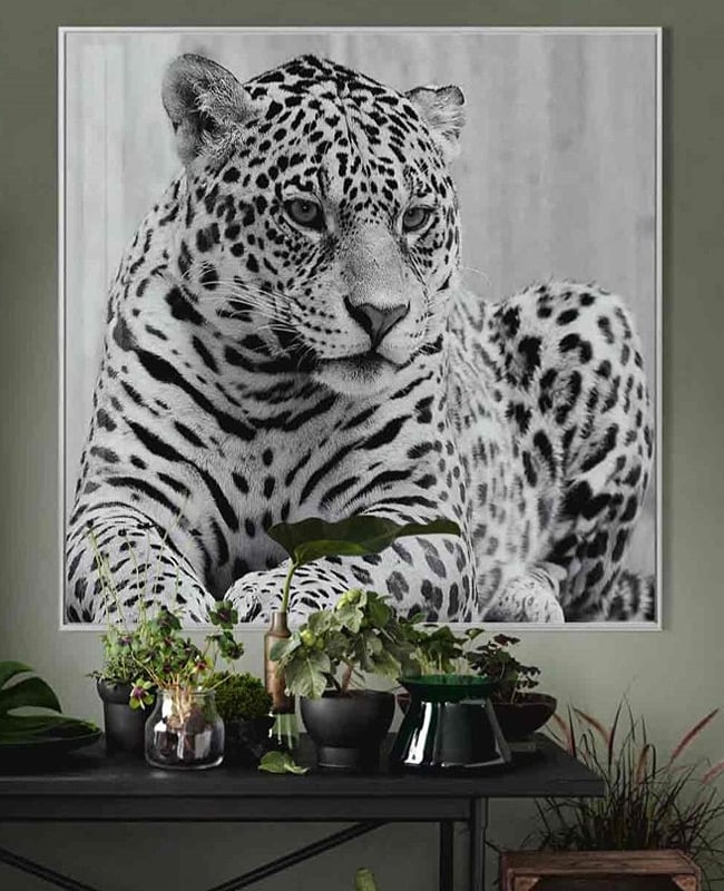 Black and White Cheetah Glass Wall Art