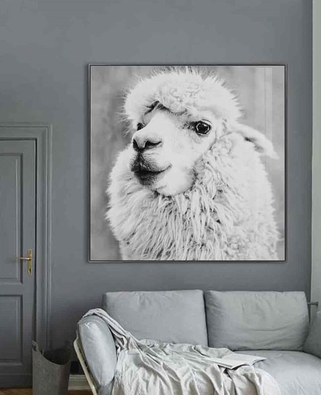 Alpaca Glass Wall Art