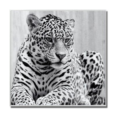 Black and White Cheetah Glass Wall Art