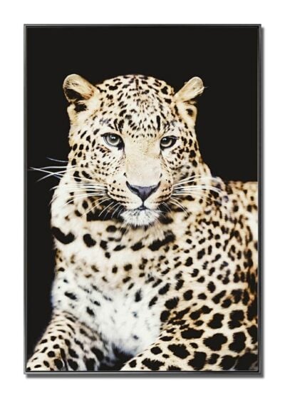 Cheetah Glass Wall Art