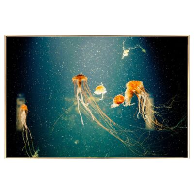 Jellyfish Glass Wall Art