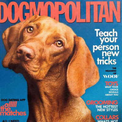 Dogmopolitan Book Box Detail