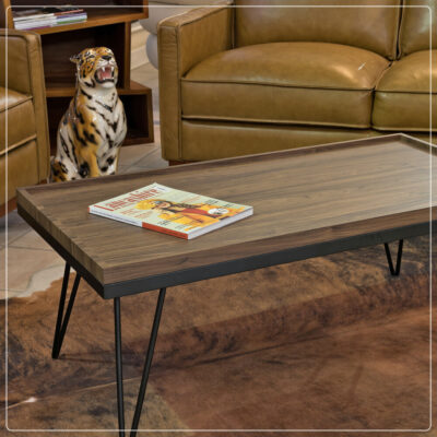 Coffee Tables