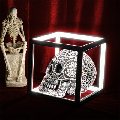 Black Calavera Skull in Light Box